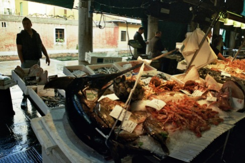 Venezia, tra vecchio e nuovo, mercato del pesce, 5/7-04-2012